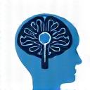 Stylized icon of a brain with a gear, representing thoughtful processes.